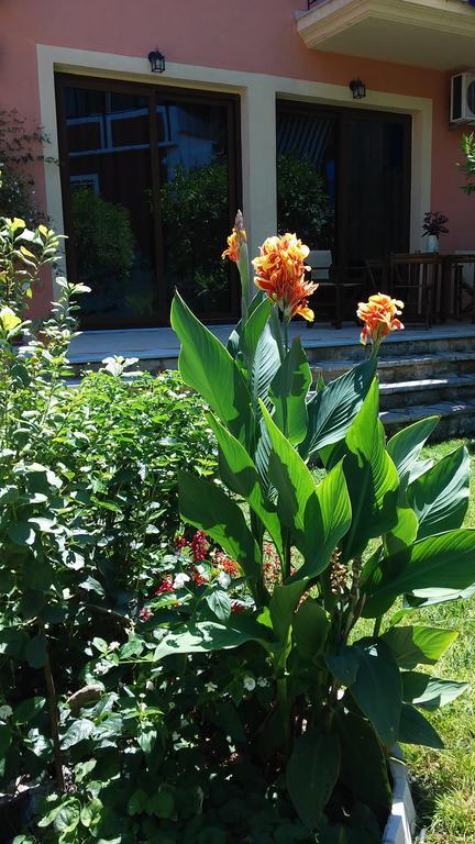 Hotel Epavli Veneti Parga Exterior foto